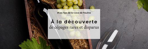 À la découverte des cépages rares avec La Cave de Pauline 🍇