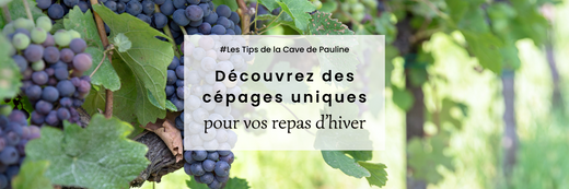 #TIPS : Explorez les cépages singuliers de La Cave de Pauline pour un hiver réconfortant ❄️🍷