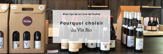 #INFO : Pourquoi choisir du vin bio pour vos repas de fêtes ? 🎊