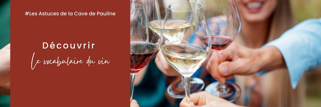 #TIPS : Découvrez le vocabulaire du vin & épatez vos amis !